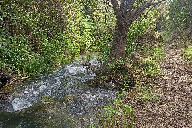 Hike & Wine Ericeira - Price and logistics: what your $119 buys you