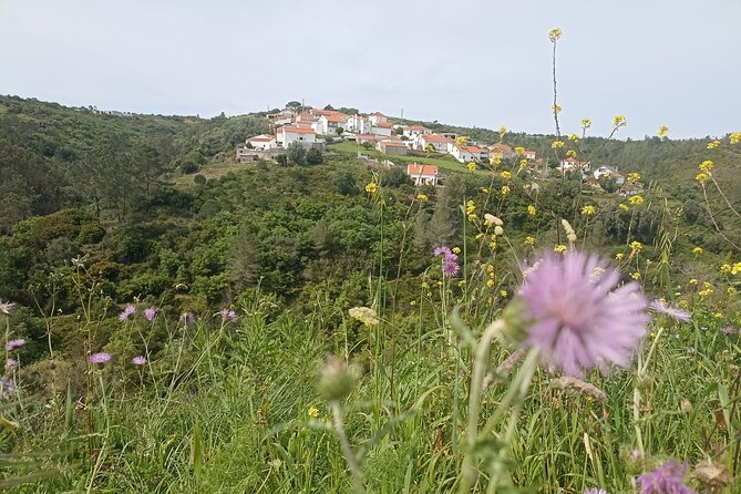 Hike & Wine Ericeira - Vila da Mata Pequena: a countryside reset, not a tourist show