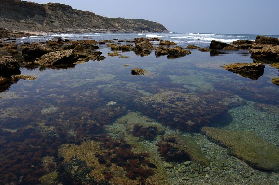 Hiking Tour Along the West Coastline - Who this hike is for (and who should choose differently)