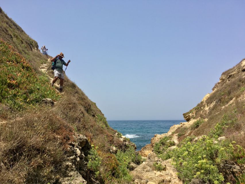 Hiking Tour Along the West Coastline - Bicas Beach to dinosaur tracks: the real point of this west-coast walk