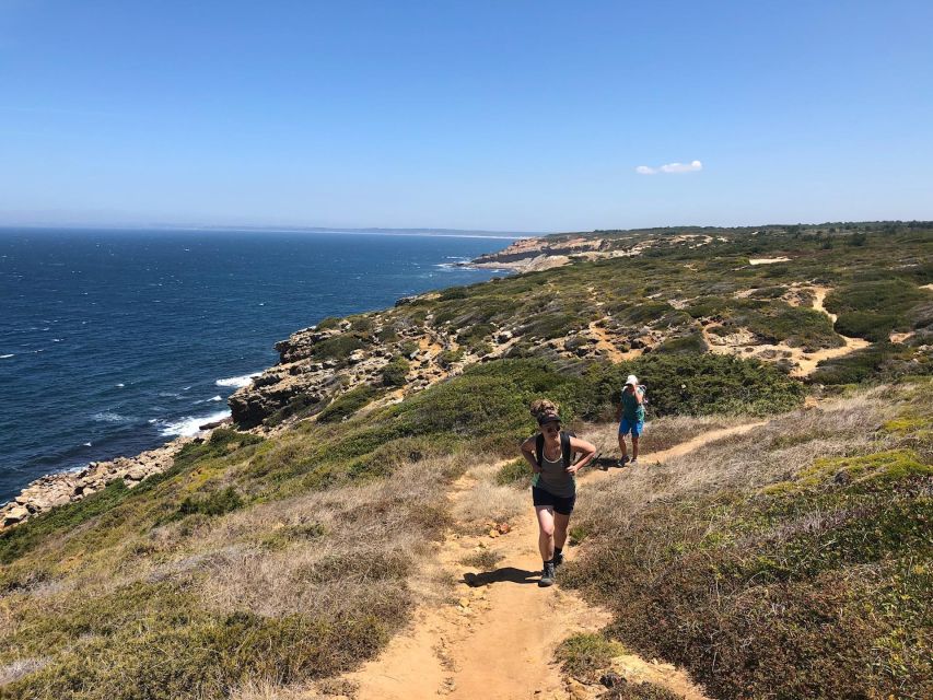Hiking Tour Along the West Coastline - Stop-by-stop along the coast: what each part feels like