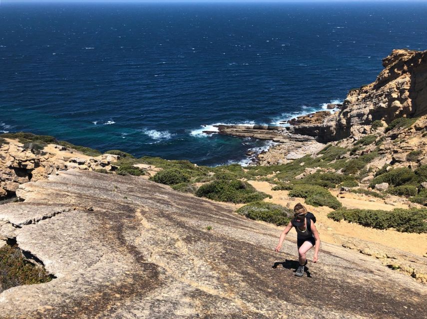 Hiking Tour Along the West Coastline - Guide quality: why small groups change the experience