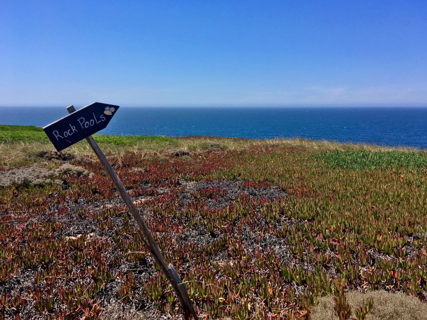 Hiking Tour Along the West Coastline - Getting picked up around Lisbon District without wasting your day