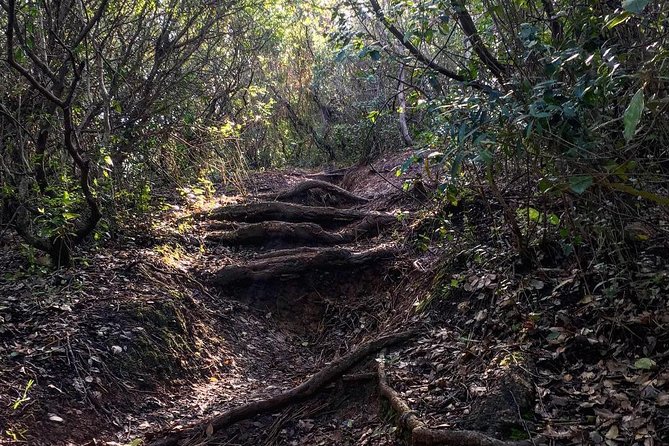 Hiking tour to the highest point of Arrábida mountain - Price and value: what $92.42 really buys you here