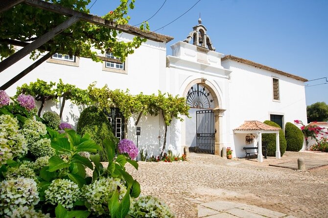 Historic Winery Tour and Tasting in Bombarral - Key things to know before you go