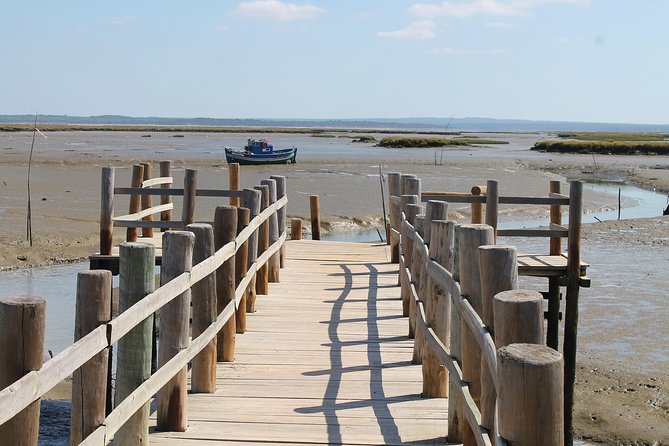Historical and Natural Arrábida: Private Tour from Lisbon - Parque Natural da Arrábida: Sado Estuary Views and Scenic Photo Pull-Offs