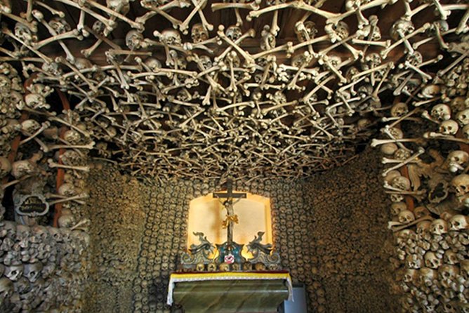 Historical Évora - PRIVATE Full Day Tour - Cork, Wine and Olive Oil Haven - Private 9AM-to-Évora Schedule: What Your Day Actually Looks Like