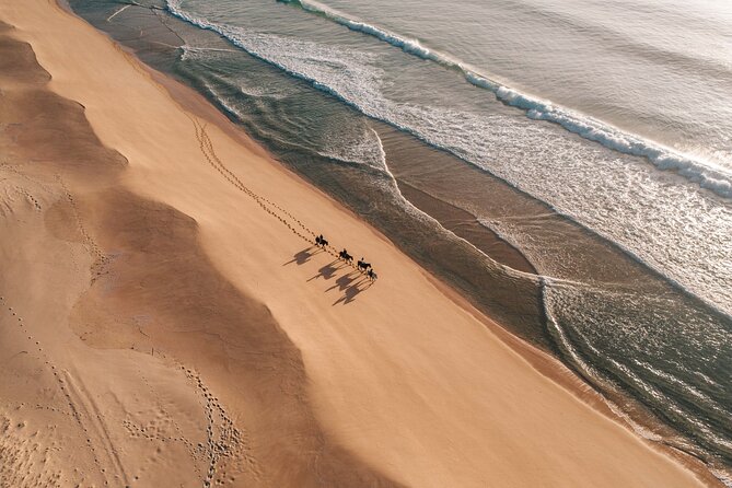 Horse Riding on the Beach with private transfer from Lisbon - What to Pack: Clothes, Repellent, and Comfort for All-Weather Riding