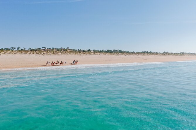 Horse Riding on the Beach with private transfer from Lisbon - Practical Cautions That Can Make or Break Your Day