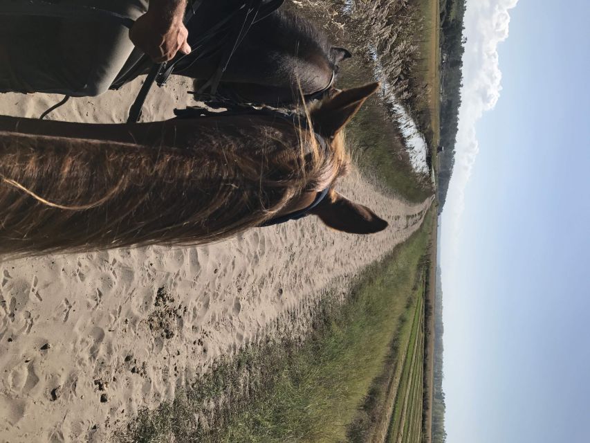 Horse riding on the beach, with private transfer from Lisbon - Who this fits best (and who should think twice)