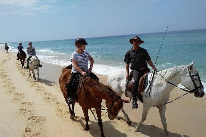 Horse Riding Tour on the Beach Lisbon region - Key points that make this tour worth your time
