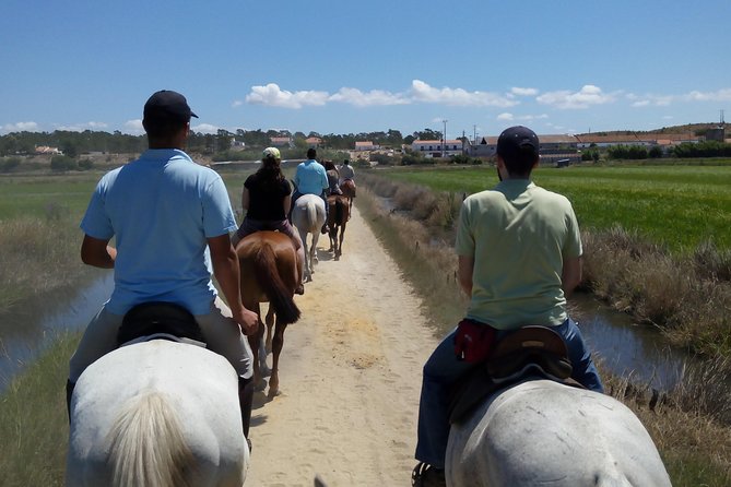 Horse Riding Tour on the Beach Lisbon region - Lisbon to Comporta: The coastal ride setup (and why it works)