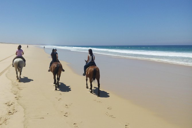 Horse Riding Tour on the Beach Lisbon region - The 1h30 Comporta ride: rice fields to white sand with Sado Estuary views