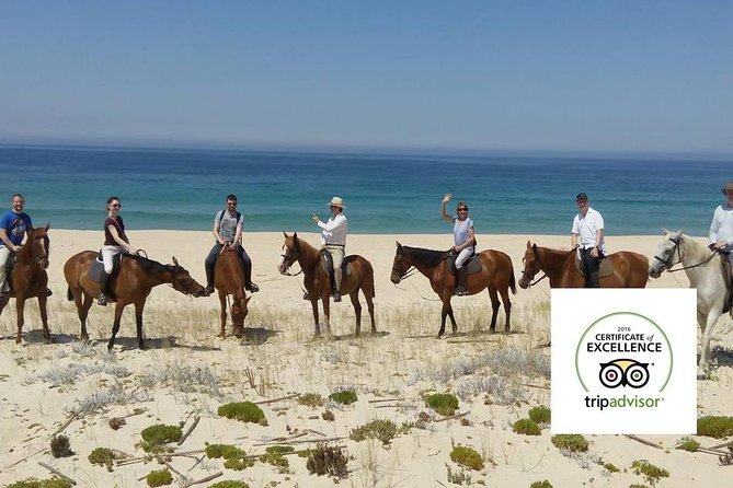 Horse Riding Tour on the Beach Lisbon region - Who should book (and who should skip) this beach horse ride