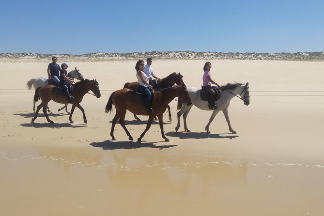 Horse Riding Tour on the Beach Lisbon region - Weather, timing, and planning your day around the ride