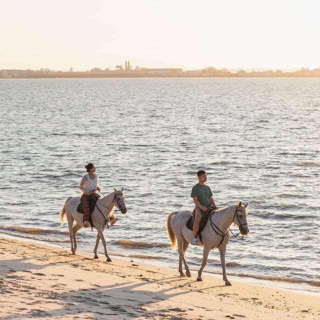 Horseback Riding On The Beach At Sunset - Key Things to Know Before You Go