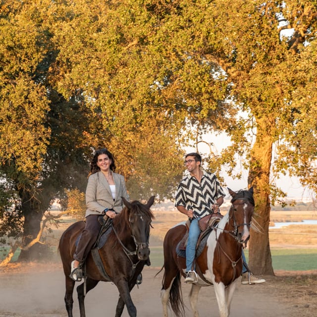 Horseback Riding On The Beach At Sunset - Gaio Rosário Beach on Horseback: Calm Horses and Real Sand Air
