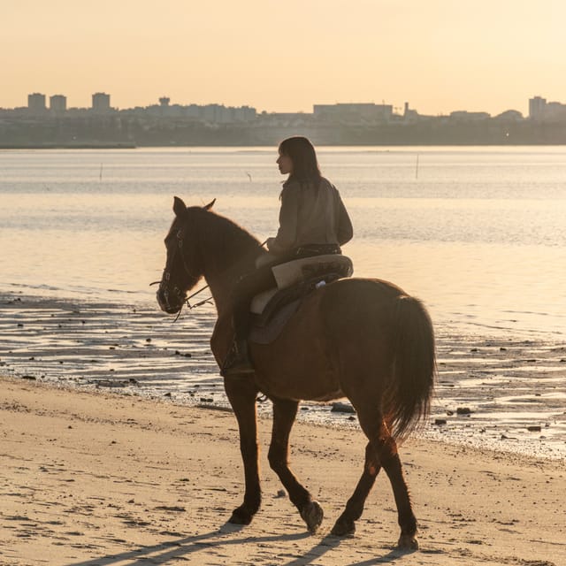 Horseback Riding On The Beach At Sunset - Price and Value: Is $153 for 1.5 Hours Worth It?