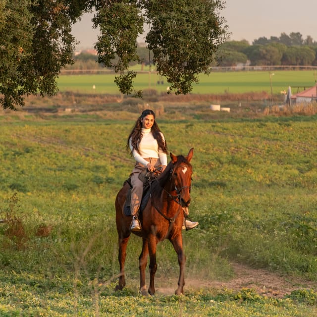 Horseback Riding On The Beach At Sunset - Who This Beach Horseback Ride Suits Best
