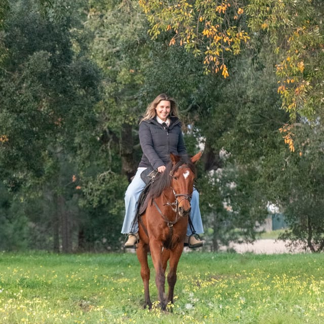 Horseback Riding On The Beach At Sunset - Should You Book Patio do Tejo for Beach Horseback at Sunset?
