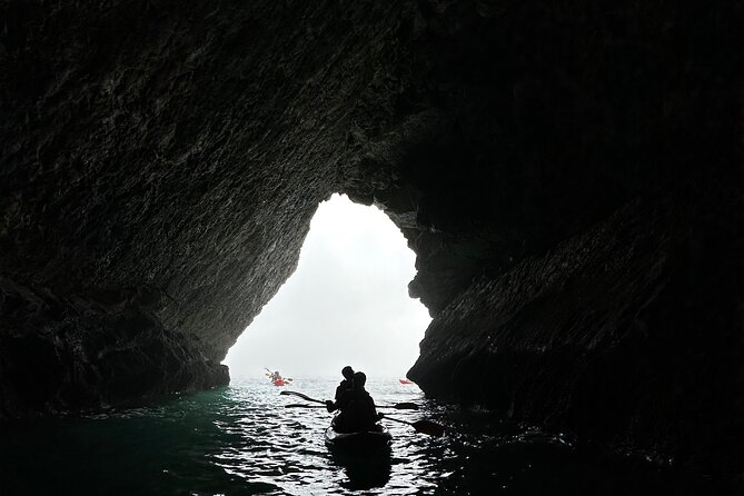 Kayak Adventure in Sesimbra - The Heart of Arrábida Natural Park - What’s Included (And What You’ll Still Want to Bring)