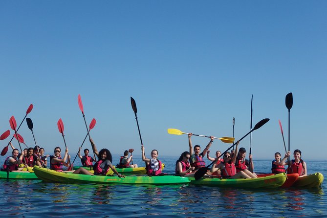 Kayak Tour of Lisbon - Morning or Afternoon: Choosing a Departure That Fits Your Energy
