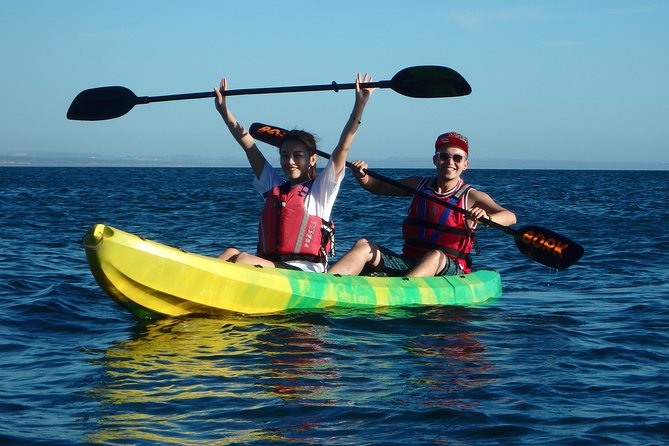 Kayak Tour of Lisbon - Price and Value: What $46.44 Really Buys You