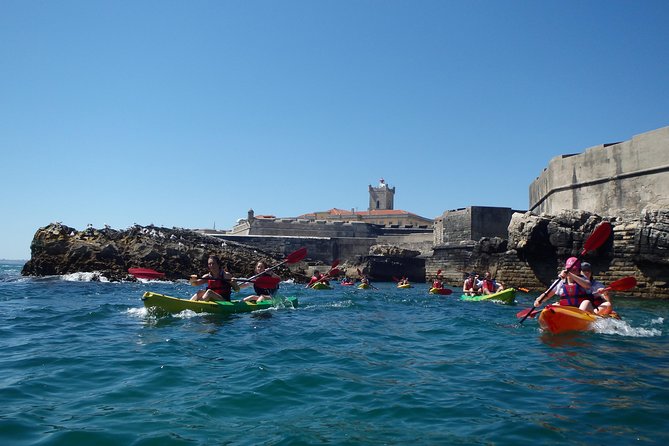 Kayak Tour of Lisbon - Gear, Training, and Safety: What Happens Before You Paddle