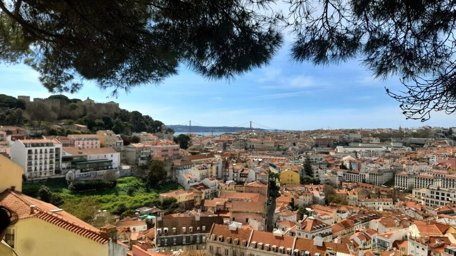 Lisbon: 3-Hour Sightseeing Tuk-Tuk Tour with Free Pickup - How the Guide Changes the Tour (Miguel, Tiago, Sergio, and More)