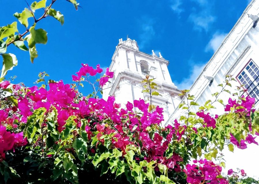 Lisbon: 7 Hills Panoramic Guided Tour by E-Bike - Price and value: why $53 can make sense here