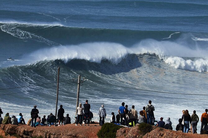 Lisbon: 8h Tour to Nazaré, Óbidos & Alcobaça (Church Incl.) - Price and value: is $114.39 worth it for this mix?