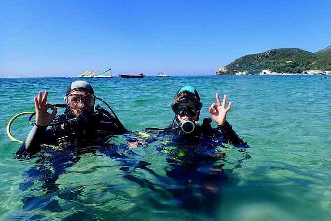 Lisbon Active Tourism - Diving in Arrábia - Sesimbra - Key highlights you’ll actually care about