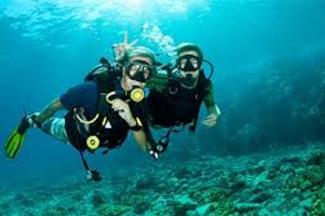 Lisbon Active Tourism - Diving in Arrábia - Sesimbra - Lisbon to Sesimbra: the easy start that sets the tone
