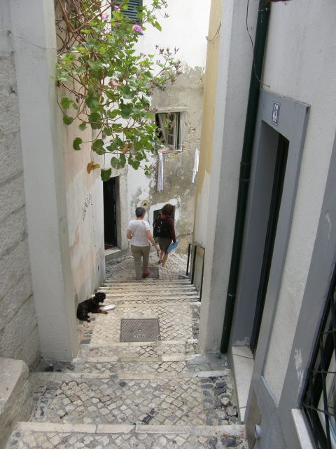 Lisbon: Alfama and São Jorge Castle Quarters Walking Tour - Key Highlights You’ll Feel Immediately