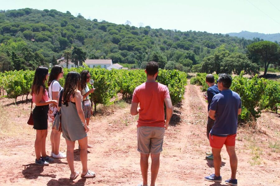 Lisbon: Arrábida and Sesimbra Day Trip with Wine - Key Things I’d Plan For
