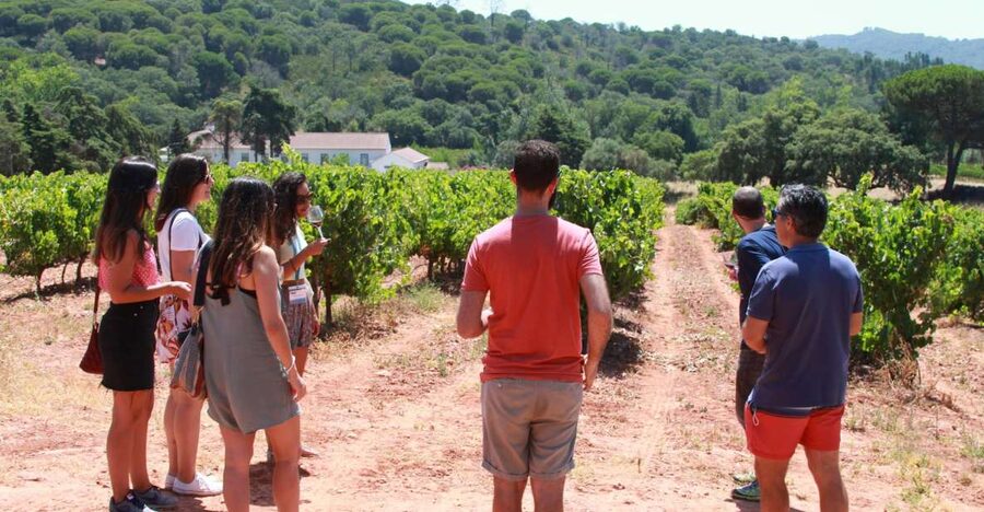 Lisbon: Arrábida and Sesimbra Day Trip with Wine - A Quick Reality Check: What This Day Trip Really Feels Like