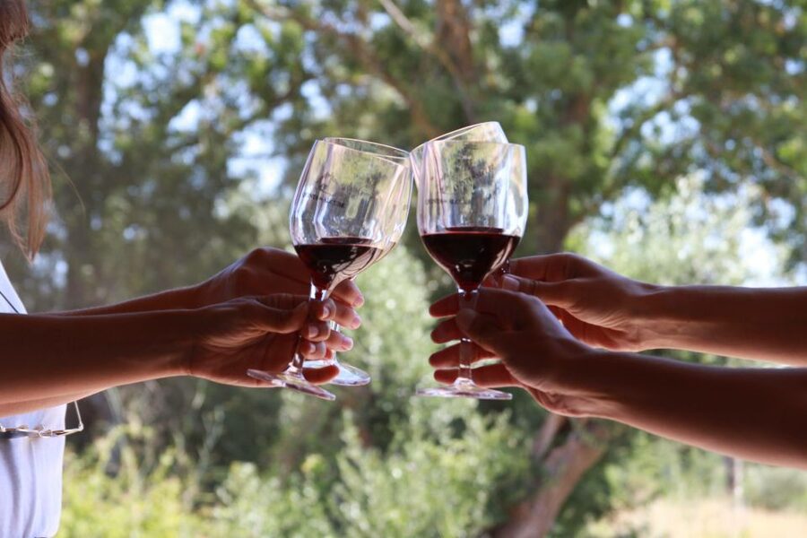 Lisbon: Arrábida and Sesimbra Day Trip with Wine - Palmela: Moorish Castle Views and a Family-Run Wine Moment