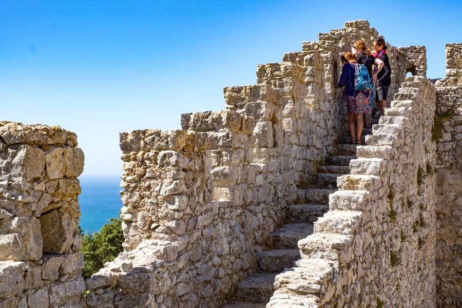 Lisbon: Arrábida Natural Park and Sesimbra Day Trip - Price and Value: Is $88 a Fair Deal?