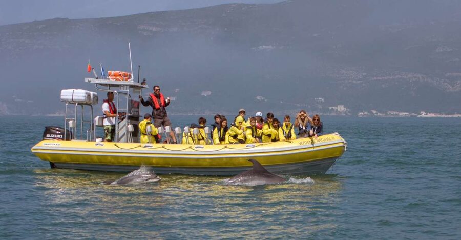 Lisbon: Arrábida Natural Park Dolphin Watching Boat Tour - On the semi-inflatable boat: comfort, speed, and spotting conditions