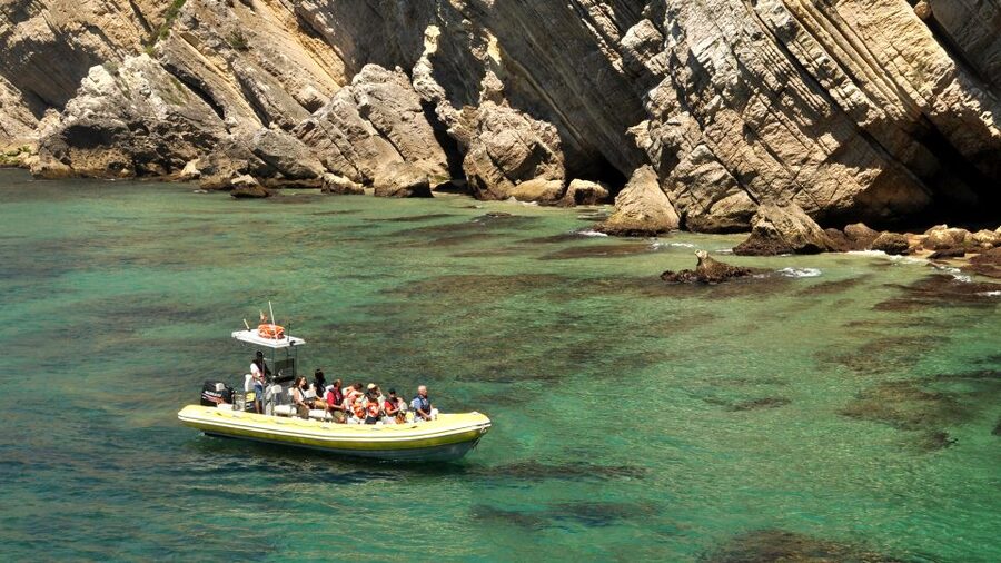 Lisbon: Arrábida Natural Park Dolphin Watching Boat Tour - The people factor: what makes the guides matter in the real world