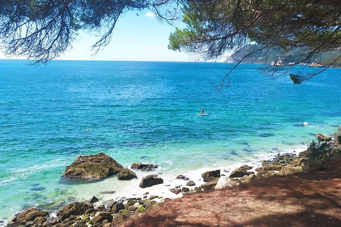 Lisbon: Arrábida Park, Sesimbra, Christ the King private tour - Logistics that help your day go smoothly