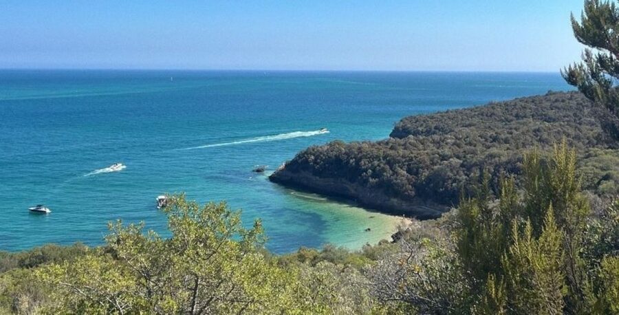 Lisbon: Arrábida & Sesimbra w/ Palmela Castle & Wine Tasting - Sesimbra Free Time: Lunch On Your Terms
