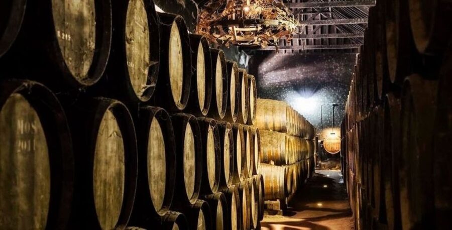 Lisbon: Arrábida & Sesimbra w/ Palmela Castle & Wine Tasting - Price and Logistics: What $85 Gets You (and What It Doesn’t)