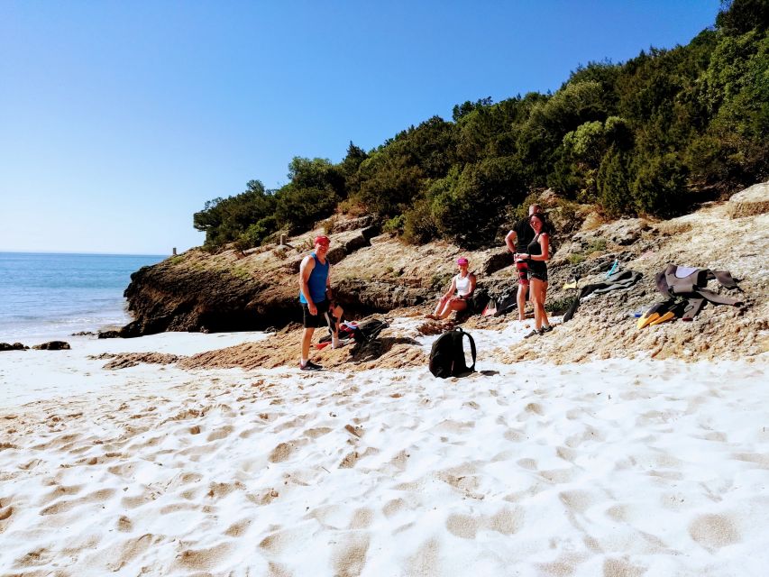 Lisbon: Arrábida Snorkeling Adventure - Key points to know before you go