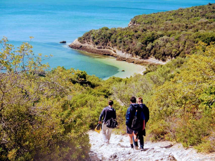 Lisbon: Arrábida Snorkeling Adventure - Why Arrábida Snorkeling Feels Like a Coastal Field Trip