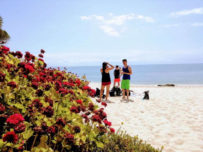 Lisbon: Arrábida Snorkeling Adventure - Who This Tour Is Best For (And Who Should Skip It)