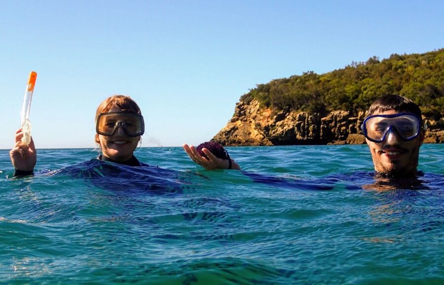 Lisbon: Arrábida Snorkeling Adventure - Small Groups and the Guide Factor (Felipe Is Mentioned for a Reason)