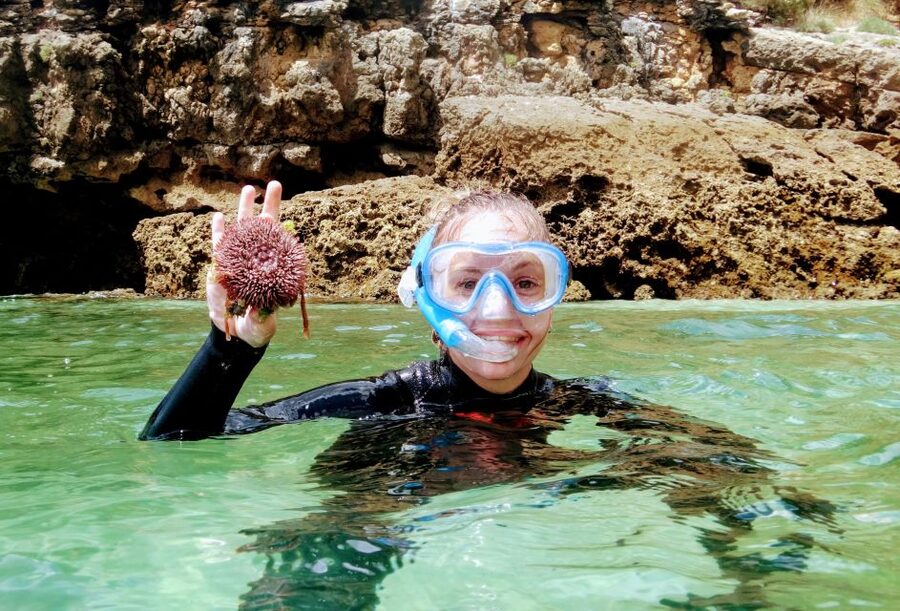 Lisbon: Arrábida Snorkeling Adventure - Getting From Lisbon to Arrábida Without Stress