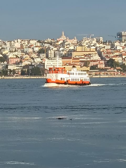 Lisbon: Belem, Jeronimos Monastery, and Coach Museum Tour - Pace, walking, and comfort tips for your morning