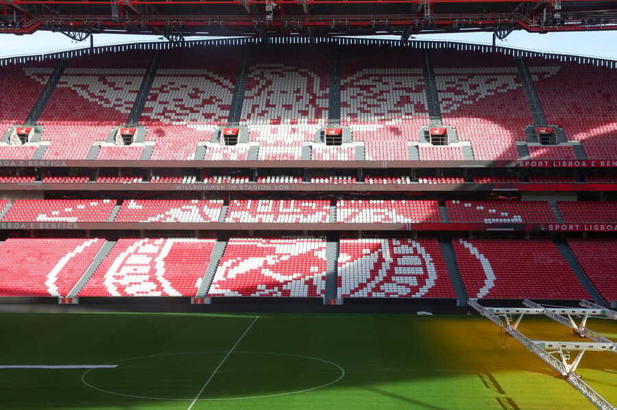 Lisbon: Benfica Luz Stadium Tour with Souvenir Scarf - Door 17 Start and the Benfica scarf you actually want